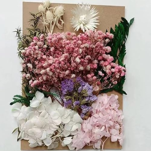 Fiori Secchi Naturali,fiori secchi,seccate Naturali Fiori Secchi Resina epossidica Mescola,Naturali Pressati Fiori Fiori secchi Misti, Decorazioni Floreali,per gioielli fai da te