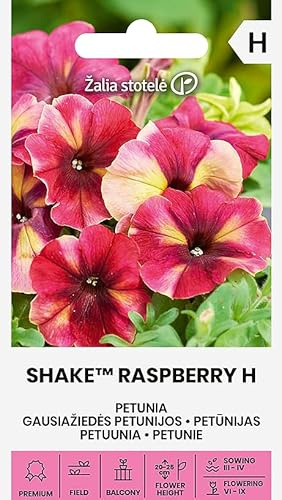 Zalia stotele | Graines de Pétunias SHAKE™ RASPBERRY H | Graines de fleurs | Graines de pétunia | Plante annuelle, suspendue, à floraison luxuriante | 1 paquet