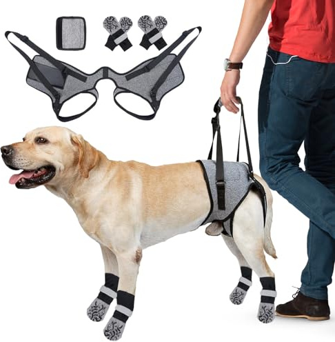 Tyafzzn Hundegeschirr für die Hinterbeine, Verstellbares Hundegeschirr mit 2 Paar Anti Rutsch Hundesocken, Hunde Gehhilfe Hinterläufe für Ältere, Behinderte & Hunde mit Mobilitätsproblemen