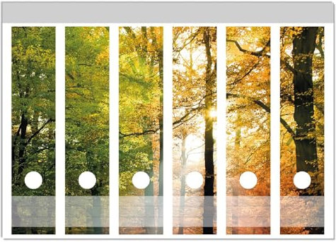 Wallario Ordnerrücken Sticker Sonnenuntergang im Herbstwald - Größe 6 Stück, Rückenschilder für 6 breite Ordner, Klebeetiketten