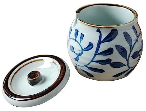OFFSCH Barattolo Contenitore Per Condimenti in Ceramica Con Coperchio Per Sale E Spezie Per Cucina Organizzata E Semplice
