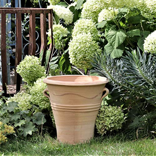 Kreta Keramik Resistente a las heladas, terracota hecha a mano, maceta/maceta, maceta, terraza, balcón, exterior y decoración, Salvia, 35 cm