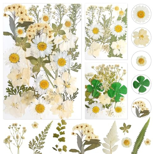 Dog's Booty fiore Secchi Decorativi secco per Resina e Gioielli Fai da Te (Bianco)