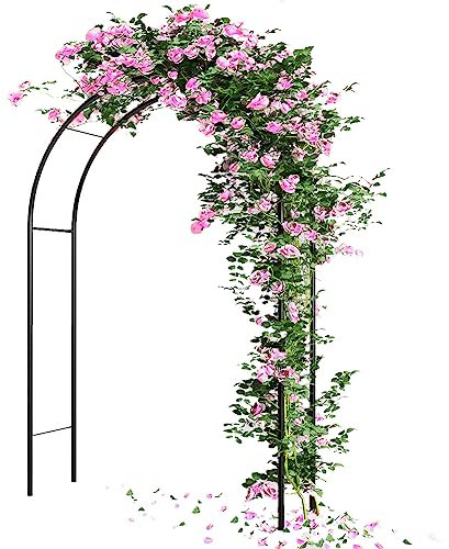 BAKAJI Arco da Giardino Supporto per Piante Rampicanti, Sostegno Pergolato in Metallo per Rose, Fiori, Orto, Colore Verde Scuro, Decorazione da Esterno Resistente Raggi UV Dimensioni 240 x 140 x 35 cm