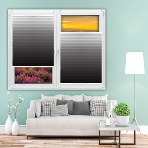 Plissee Ohne Bohren Klemmfix 25 x 110 cm Rollo Plise Plisee Plisse, Rollos Für Fenster Und Tür 60 Sekunden Plisseerollo Montage für Fenster & Tür, Schwarz
