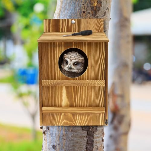 Screech - Casetta per gufi in legno con apertura circolare, con supporto per uccelli, 36,8 x 19 x 22,8 cm, da appendere all'esterno, può ospitare gufi e altri uccelli da 22,8 cm a 27,9 cm