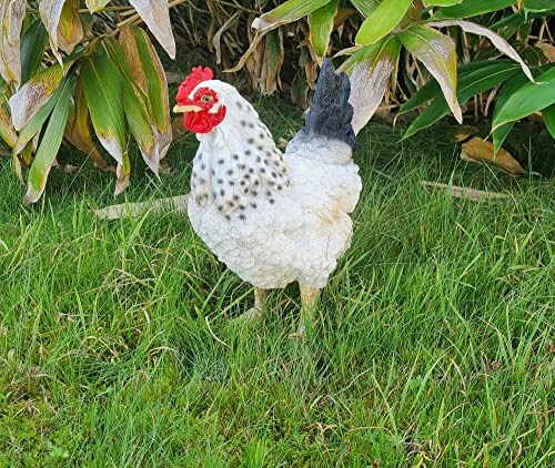 Fachhandel Plus Dekofigur Henne Huhn Eva lebensechte Gartenfigur Tierfigur Gartendeko stehend