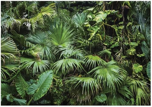 WallArena Fotomural Jungla 400x280 cm
