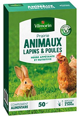 Vilmorin 4461312 Prairie Animaux Lapins et Poules, Vert, 5.80 x 14.5 x 22 cm