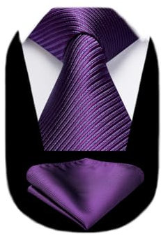 HISDERN Krawatte Herren Lila Klassische Hochzeit Krawatte mit Einstecktuch Set Elegante Formal Business Party