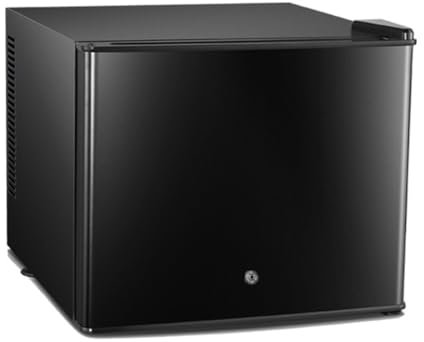 GIZNXBA Mini Frigo De Chambre Petit Frigo Cosmetique pour Soins De La Peau, Réfrigérateur Compact À Une Porte, Mini Réfrigérateur pour Chambre À Coucher, Dortoir, Bureau(Color:/Black -30L)