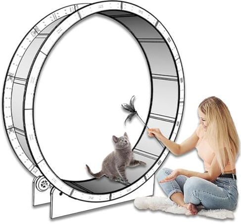 Katzenlaufrad - Indoor Laufband für kleine bis große Katzen, extra großes Laufrad für den Heimgebrauch