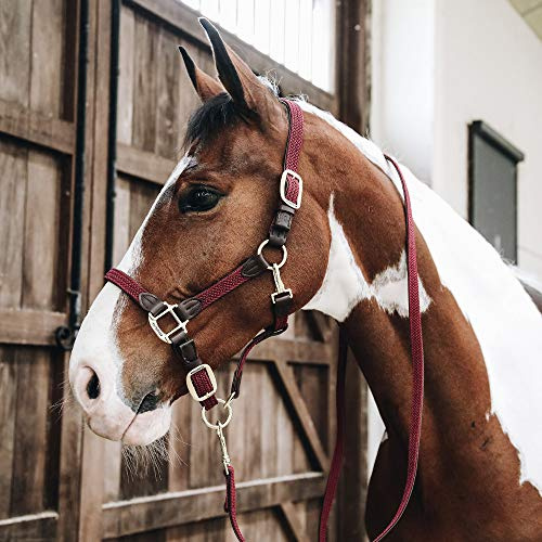 Kentucky - Geflochtenes Nylon Halfter COB - Bordeaux - Leder