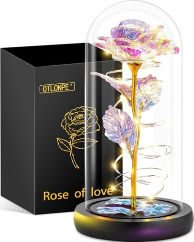 Otlonpe Ewige Rose Geschenke für Frauen, Blumen Geburtstagsgeschenk Weihnachten Geschenke Muttertagsgeschenke Valentinstag Rose Geschenk für Sie Fraue Mama Freundin Oma