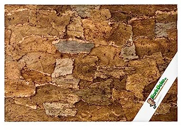 XL Korkrückwand Desert (Rückwand Terrarium) | 3D Kork-Rückwand 60 x 30 cm | gereinigt & desinfiziert