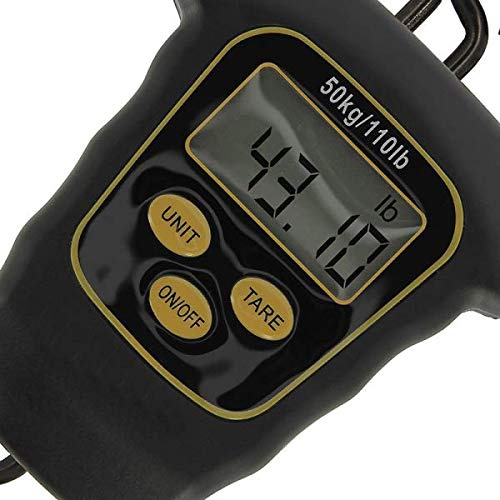 G8DS® Waage Dynamic 50kg Digital Anklappbare Griffe Karpfen Angeln Fischen Abhakmatte Sling Weightbar Hecht Cradle