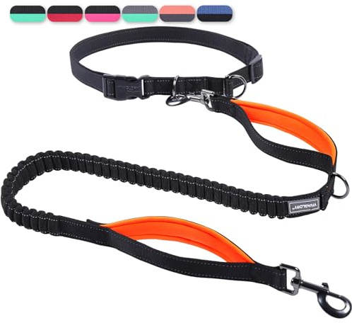 VIVAGLORY Joggingleine Hunde Bungee Hundeleine Joggen, S, Schwarz/Orange1 | Laufleine für Hunde Freihandleine mit Bauchgurt & Gepolstertem Griff für Joggen, Bungee Reflektierend Joggingleine Laufleine