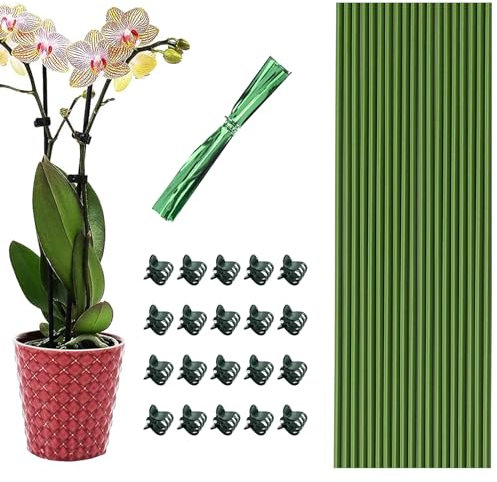 20Pcs Plant Stakes, Orchid Sticks and Clips Set, Garden Sticks for Plants Support with 20 Pcs Plant Clips, Orchid Clips for Plants Support for Indoor and Outdoor Plants