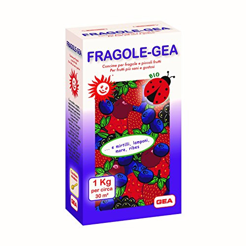 GEA Fragole Concime Biologico per Fragole e Frutti di Bosco