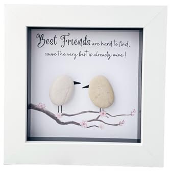 Best Friend Birthday Gifts, Friendship Gifts for Women, Thinking of you gifts, Birthday Gifts for Her, Handmade Pebble Art Unique Frame, Bestie, Presents for Women