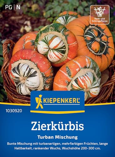 Kiepenkerl Zierkürbissamen Turban Mischung 1030920 – Exotische Kürbissamen für herbstliche Deko, langlebige Ranker & Bodendecker – Ideal für Garten & Innenräume, Kürbis pflanzen leicht gemacht
