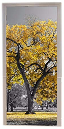 A.Monamour Türtapeten Selbstklebend 3D Baum Im Herbst Gelbe Blätter Park Wald Natur Landschaft Fotografie Bild Drucken Türtapete Türposter Tapete 77x200cm
