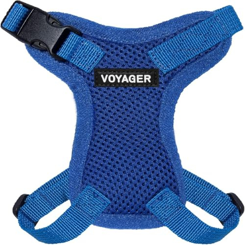 Best Pet Supplies Voyager Step-In Lock kattsele – justerbar Step-In väst sele för små och stora katter – kungsblå (matchande trim), XXS (byst: 25–36 cm x passande katter) (217-RBW-XXS)