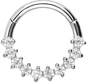 PIERCINGLINE Chirurgenstahl Segmentring Clicker | 10 EINGEFASSTE KRISTALLE | Piercing Ring Nase Septum Ohr Helix Tragus | Farbauswahl
