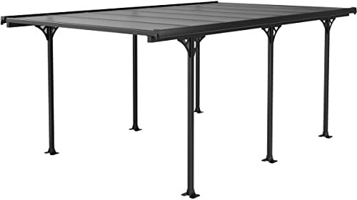 Carport Voiture Denver - 5.02 x 3.13 x 2.05 m - Transparent/Noir