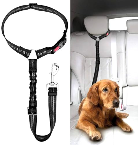 Cinturón de Seguridad y Arnés Homologado para Perro en Coche - Correa para Cachorro, Perro Pequeño y Mediano