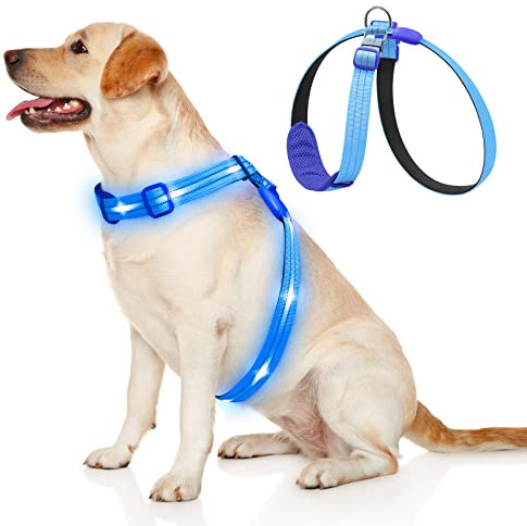 KOSKILL Beleuchtetes Hundegeschirr LED, Wiederaufladbar, Für Nachtspaziergänge Blau, L