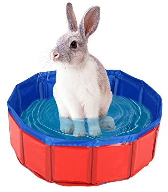 TWSOUL Piscina per cani di piccola taglia, pieghevole, per cani di piccola taglia, diametro 50 cm, altezza 8 cm, pieghevole, per cani (diametro 50 cm, altezza 8 cm, A)