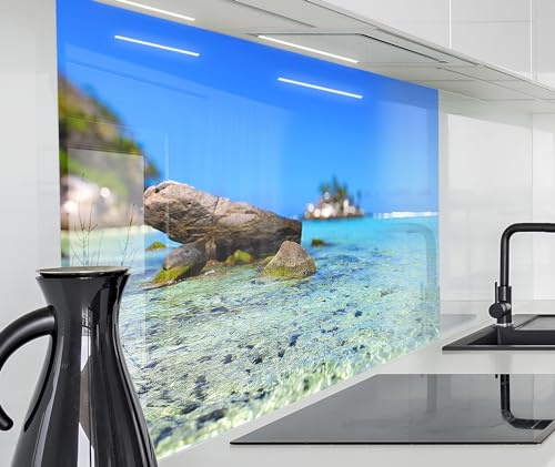 timalo Spritzschutz Wand für Herd, Küche Küchenrückwand Glasoptik | Acryl Glas 2mm | Glasrückwand Acrylglas Wandpaneele Rückwandschutz Platte | 60x40cm Meer Seychellen Felsen