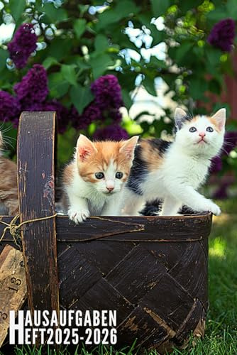 Hausaufgabenheft 2025/2026: Katze - Schulplaner Für Grundschule, Mädchen, Jungen, Teenager Mit Wochenplaner Und Mehr| Viel Platz Für Fach, Aufgaben, Notizen