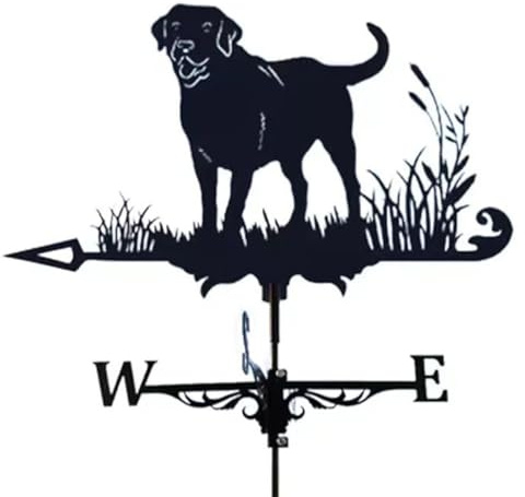 Veleta meteorológica de hierro con adorno de labrador para techos, jardines, indicadores de dirección de vientos, decoración al aire libre, paleta de clima de jardín