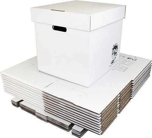 Square Deal Recordings & Supplies Robuste Aufbewahrungsbox aus Karton, 30,5 cm, für 90 Schallplatten, 10 Stück