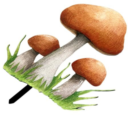 POPETPOP Tuteur De Champignon De Jardin – Décoration De Jardin en Acrylique pour Champignon Extérieur