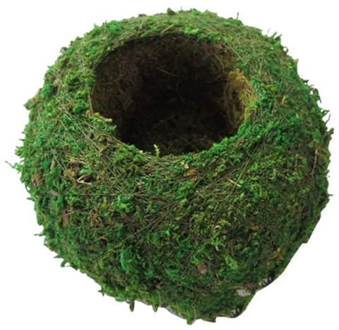 Moss Ball 6 pollici fioriera naturale bonsai muschio Kokedama vaso di fiori verde bonsai porta piante per giardinaggio fai da te piantare decorazione della tavola di casa bonsai muschio Marimo muschio