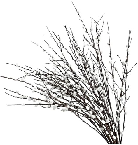 Lawnrden Branches de Saule de Chatte séchées Naturelles préservées pour vases | 4 Paquets Branches Saule Chatte artificielles 31, 5 Pouces Long, saules réalistes avec Fleurs Blanches d