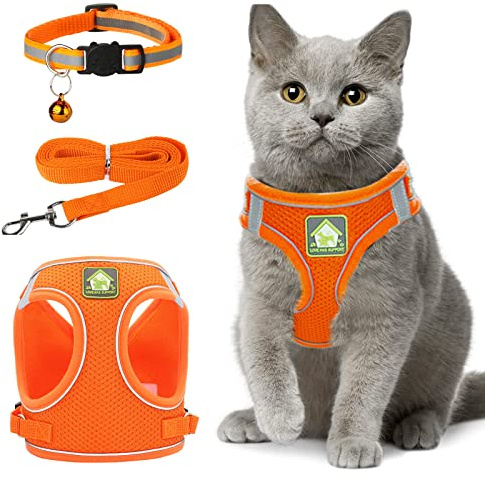 Pettorina Collarino Guinzaglio per Gatto, Cani Taglia Piccola, Antifuga Riflettente Regolabile Pettorina Traspirante (S)