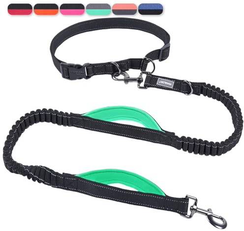 VIVAGLORY Joggingleine Hunde Bungee Hundeleine Joggen, M, Schwarz/Grün2 | Laufleine für Hunde Freihandleine mit Bauchgurt & Gepolstertem Griff für Joggen, Bungee Reflektierend Joggingleine Laufleine