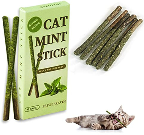 LYEAA 6pcs/Box Natural Catnip/Gall Fruit Stick Catmint Silvervine Blend Cat Molar Chew Toy Kitten Teeth Cleaning Snack