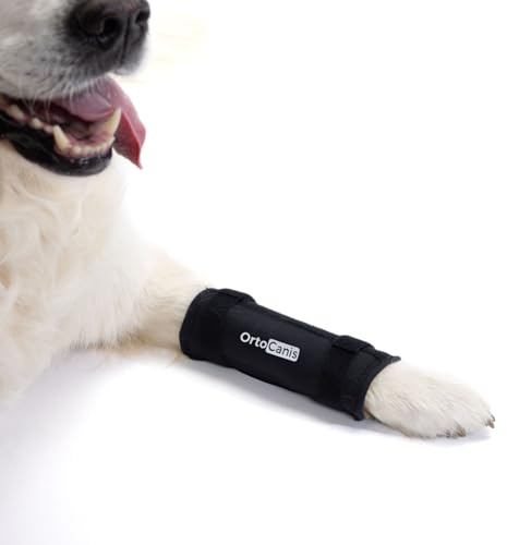 Ortocanis - Karpal-Bandage für Hund - Karpalstütze mit Immobilisierungsschienen bei Instabilität, Arthrose oder Hyperextension - Stabilisiert und lindert Schmerzen - Größe S 6-8 cm