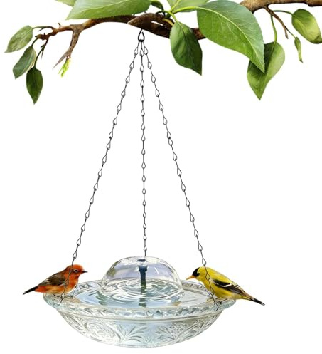 Bain D'Oiseaux Avec Fontaine Cascade Claire Décorative pour Alimentation