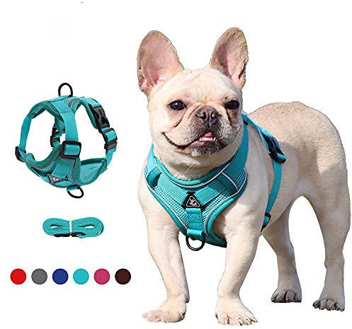 No-Pull Hundegeschirr atmungsaktiv Brustgeschirr Geschirr für Hunde Welpengeschirr Reflexstreifen Sichere Führung Einstellbar Weich(XL)