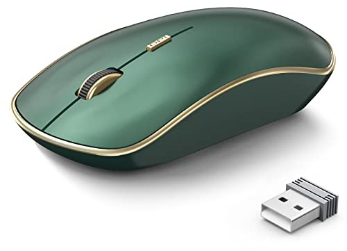 JOYACCESS Ratón silencioso inalámbrico delgado de 2,4 G, mouse inalámbrico portátil con 5 niveles de DPI ajustables, ratones USB para escritorio, portátil, MacBook, Chromebook, PC (verde)