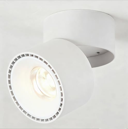 Budbuddy 12W LED Aufbauleuchte Deckenstrahler Deckenspots Deckenfluter Aufbaustrahler Einstellbarer Beleuchtungswinkel Shop kommerzielle Haushalt Deckenleuchte Deckenbeleuchtung Aluminium