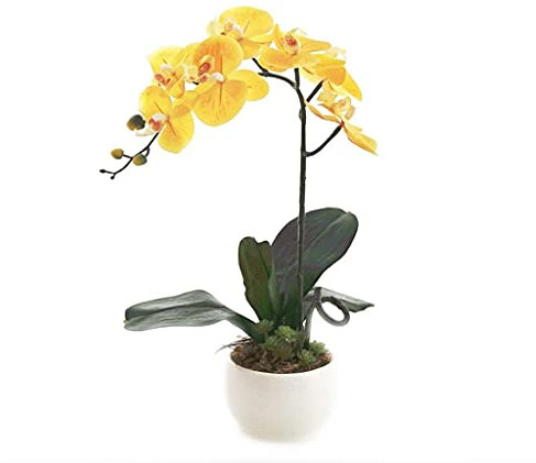 SaVgu Kunstblumen Künstliches Blumen-Set, künstliche Bonsai-PU-Orchideen, Phalaenopsis mit Keramikvase for Zuhause, Büro, Tischdekoration, Gelb, schöne künstliche Blumen und Vasen (Farbe: W
