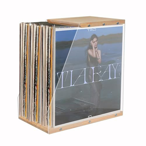 ohbien Soporte de almacenamiento de discos de vinilo a prueba de polvo