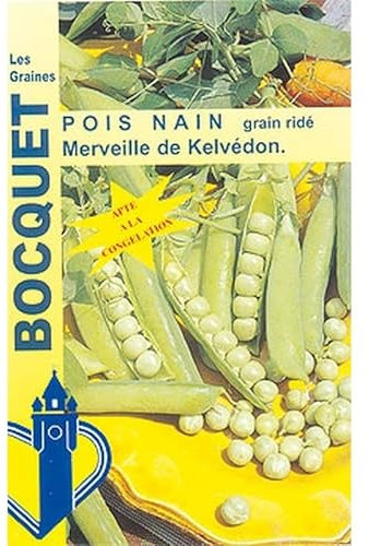 Sachet de graines de Pois nain Merveille de Kelvédon 200g - 200 g - Pois à grains ridés - LES GRAINES BOCQUET